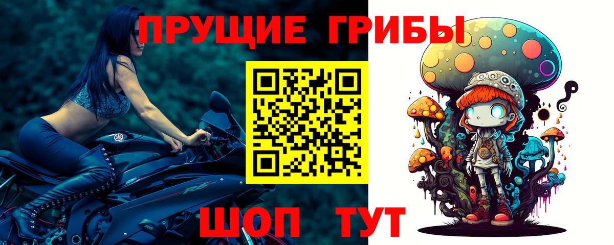 Галлюциногенные грибы Psilocybe  Вход с VPN  Курчалой 